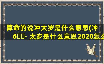 算命的说冲太岁是什么意思(冲 🌷 太岁是什么意思2020怎么*
)